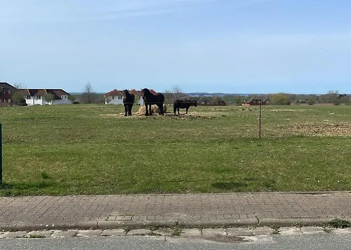 Anker6 Im Ferien-resort Ruegen